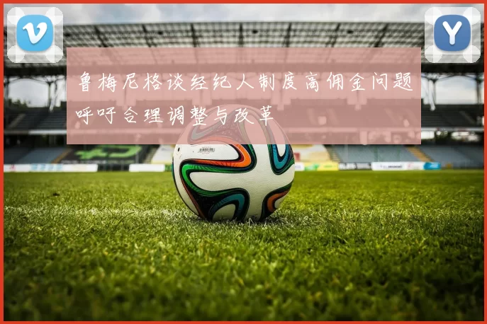 鲁梅尼格谈经纪人制度高佣金问题呼吁合理调整与改革