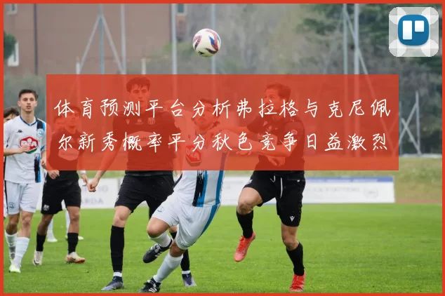 体育预测平台分析弗拉格与克尼佩尔新秀概率平分秋色竞争日益激烈